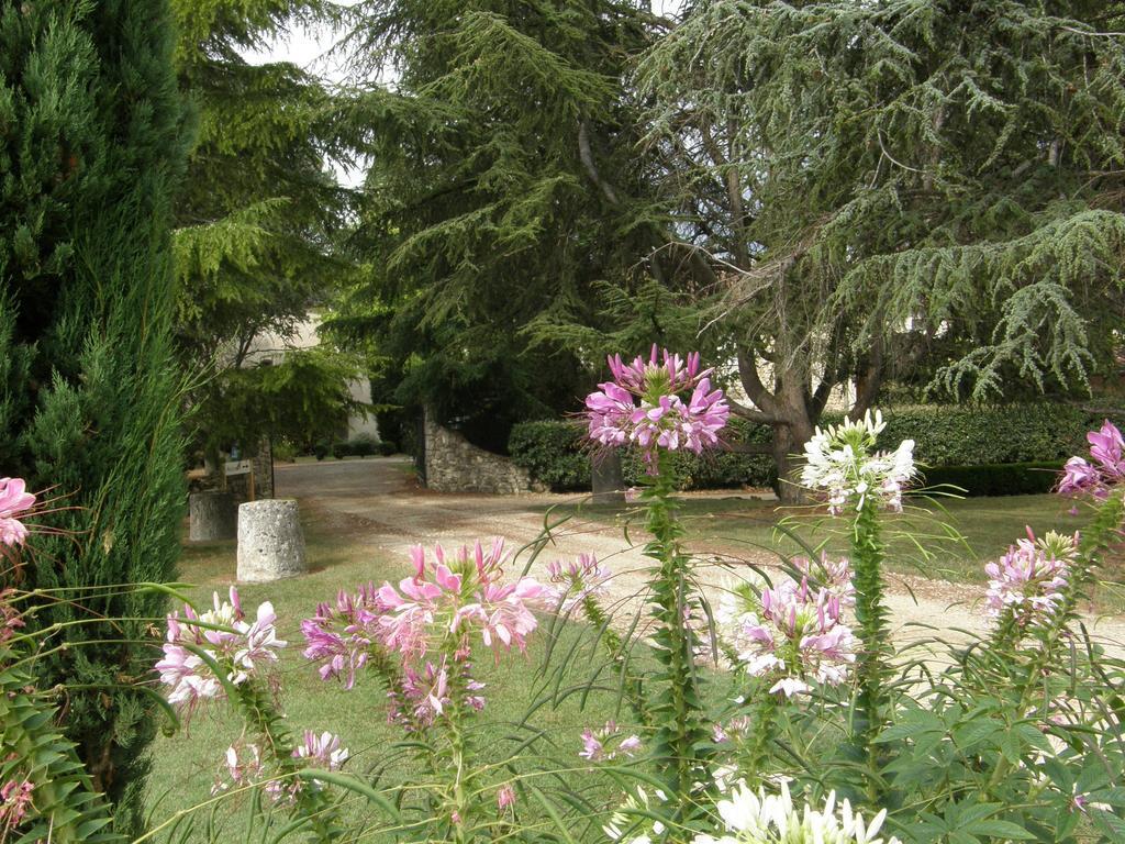 Chambres D'Hotes Domaine De La Brette Moncrabeau Rum bild